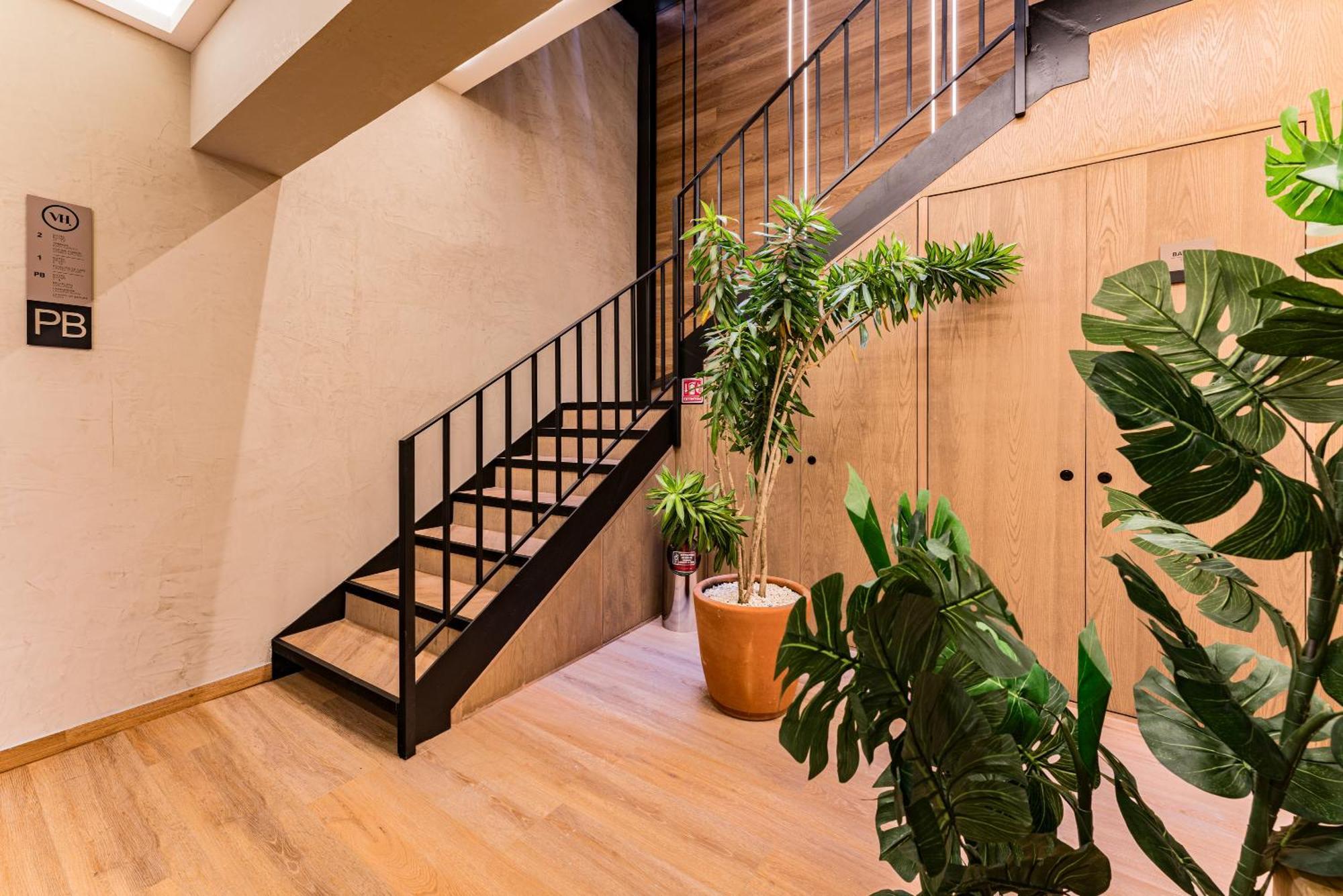 The Boutique Suites 187 By Vh Mexico Extérieur photo
